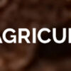 CLIMATE CHANGE IMPACT ASSESSMENT ON AGRICULTURE WITH ML - Image 5